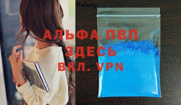 трава Белокуриха