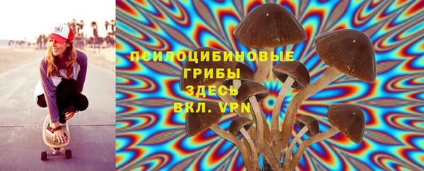 трава Белокуриха
