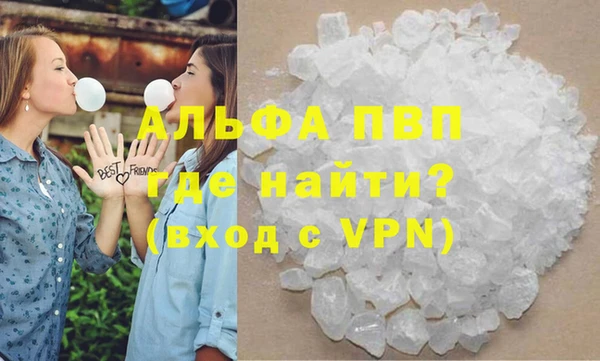 трава Белокуриха