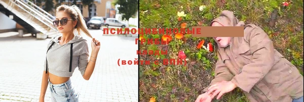 гашиш Беломорск