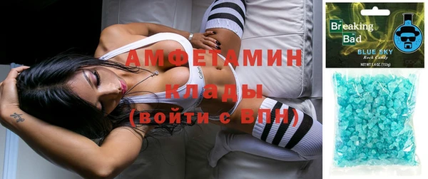 трава Белокуриха