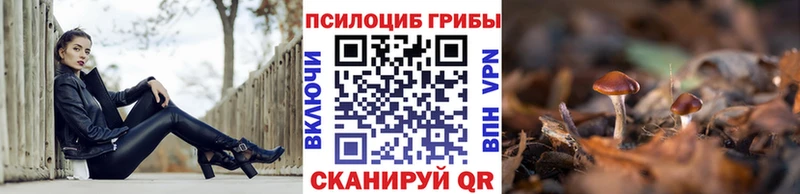 Псилоцибиновые грибы MAGIC MUSHROOMS  маркетплейс клад  Елабуга  закладка 